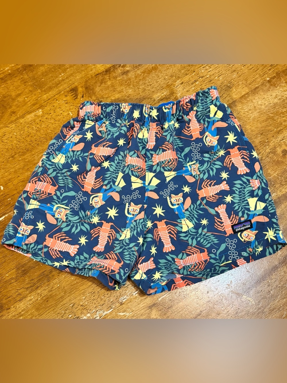 Patagonia Baby Baggies Shorts Drew and Lobby Lagom Blue Limited Edition 2T EUC